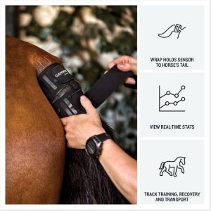 garmin-blaze